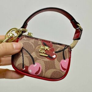 C0ach bag y
